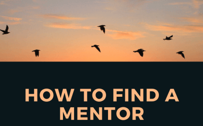 How to Find a Mentor